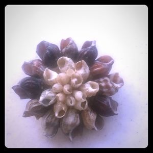 Circle of shells pin